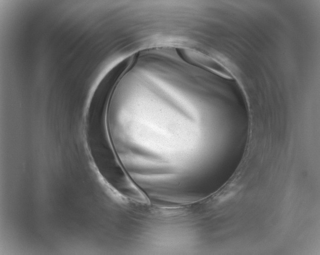 X0000053121152200507251716