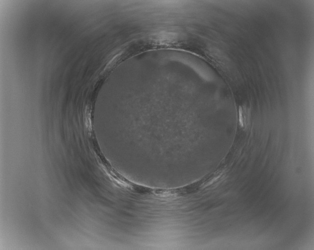 X0000053121155200507251716