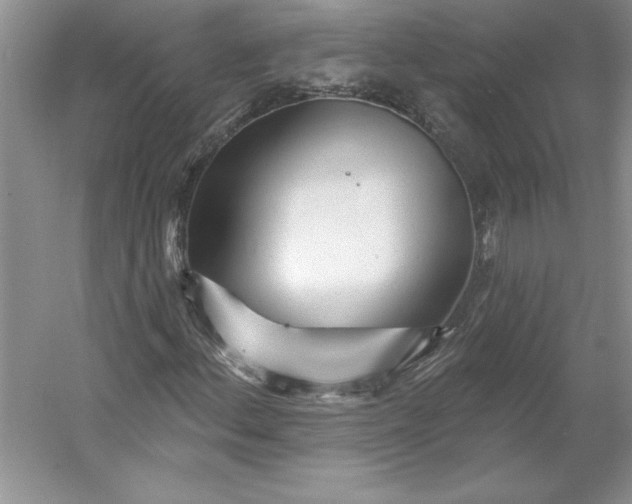X0000053121156200507251716