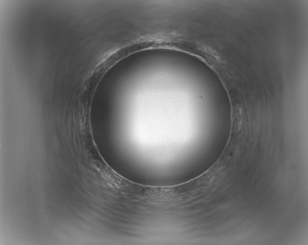 X0000053121158200507251715