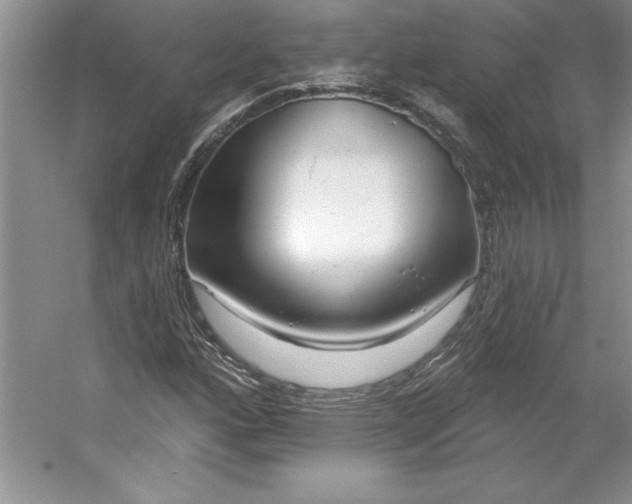 X0000053121160200507251715