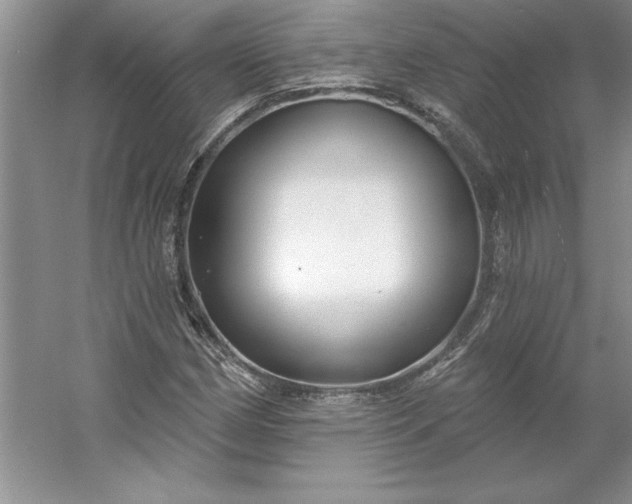 X0000053121162200507251715