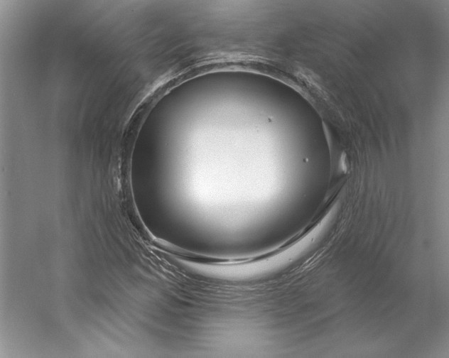 X0000053121165200507251715