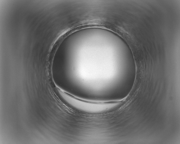 X0000053121166200507251715
