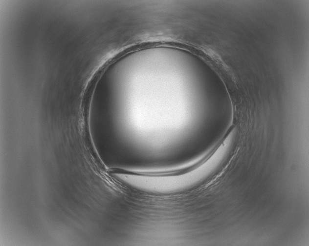 X0000053121167200507251715
