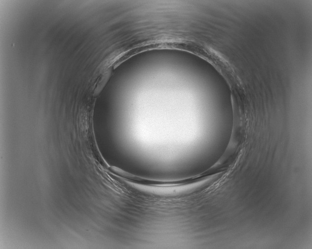 X0000053121169200507251715