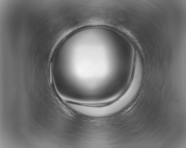 X0000053121175200507251715