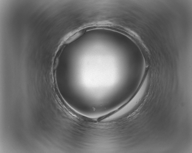 X0000053121176200507251715