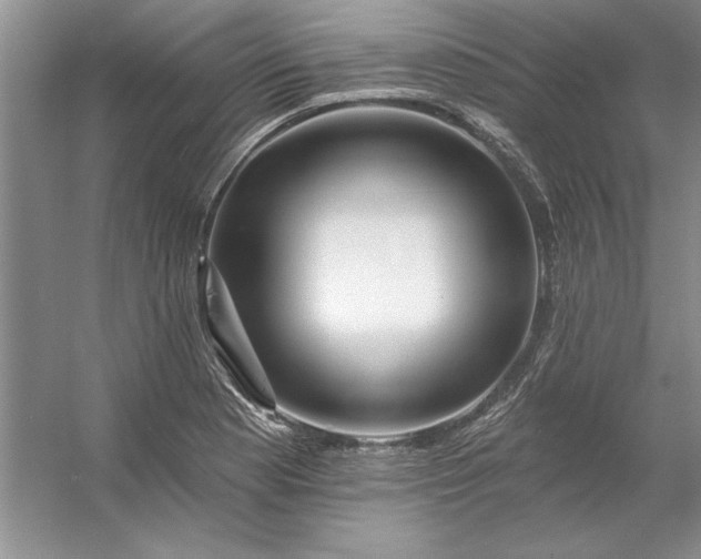 X0000053121177200507251715