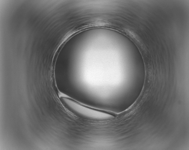 X0000053121178200507251715
