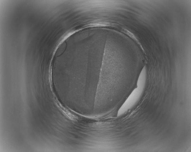 X0000053121179200507251715