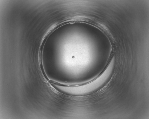 X0000053121180200507251715