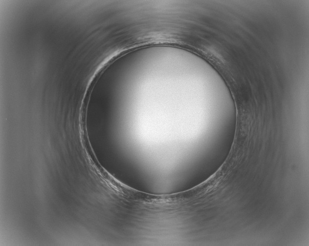 X0000053121182200507251715