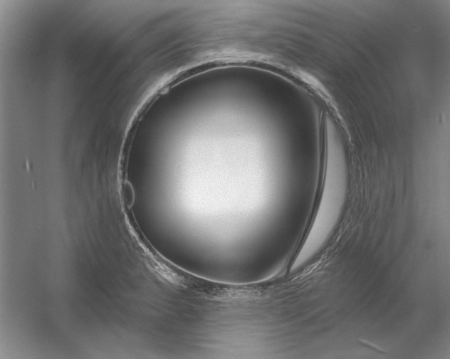 X0000053121183200507251715