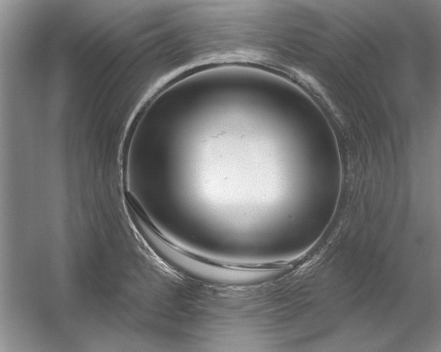 X0000053121184200507251715
