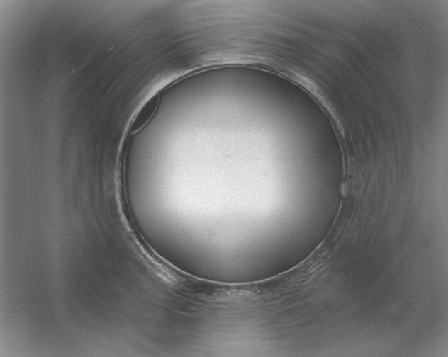 X0000053121187200507251715