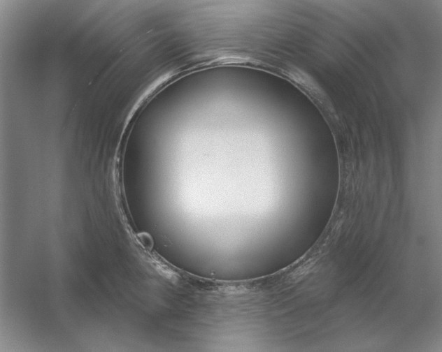 X0000053121190200507251715