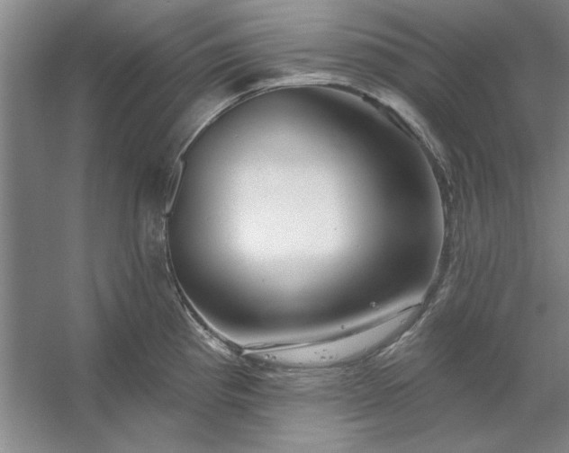 X0000053121193200507251715