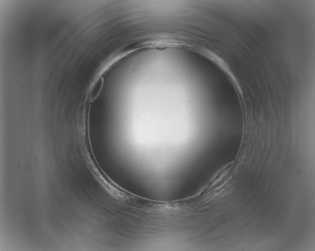 X0000053121195200507251715