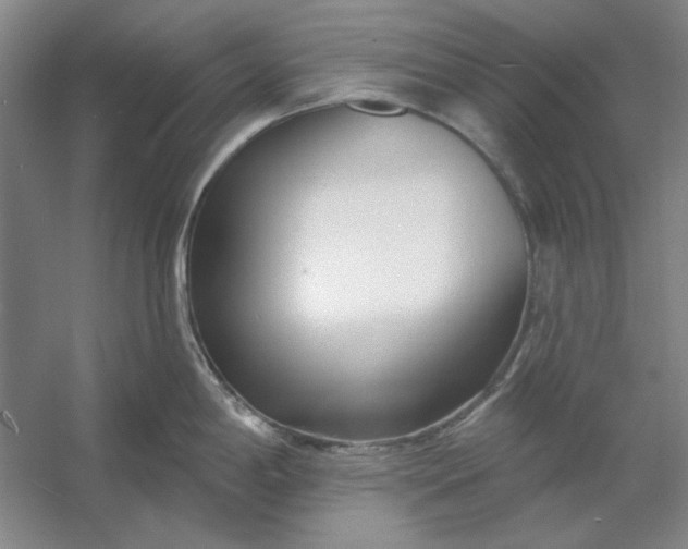 X0000053121198200507251715