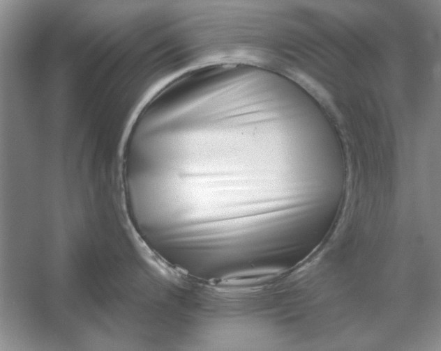 X0000053121200200507251715