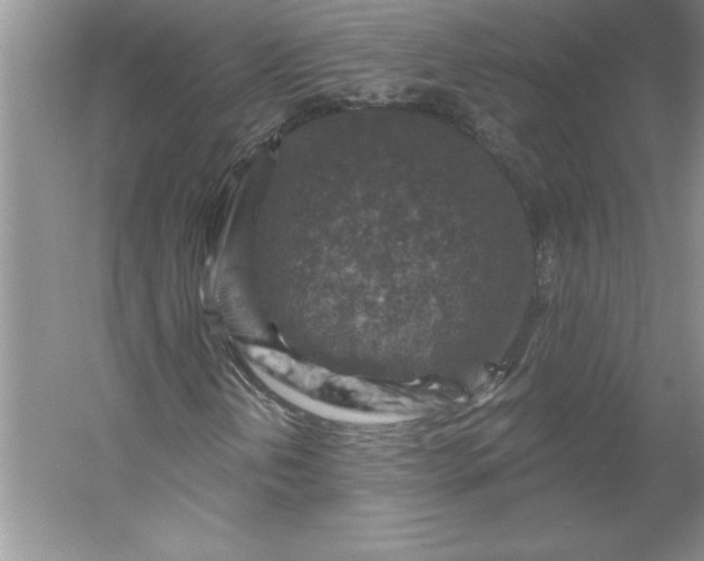 X0000053121202200507251714