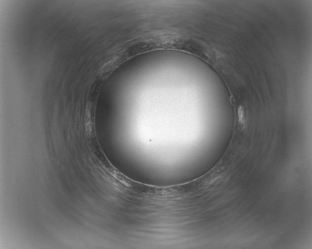 X0000053121203200507251714