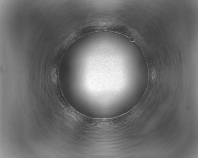 X0000053121204200507251714