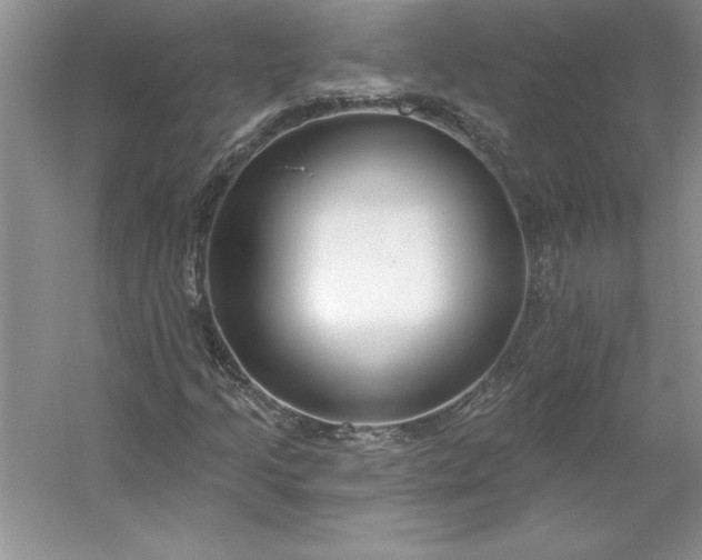 X0000053121205200507251714