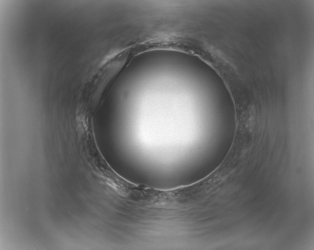 X0000053121206200507251714
