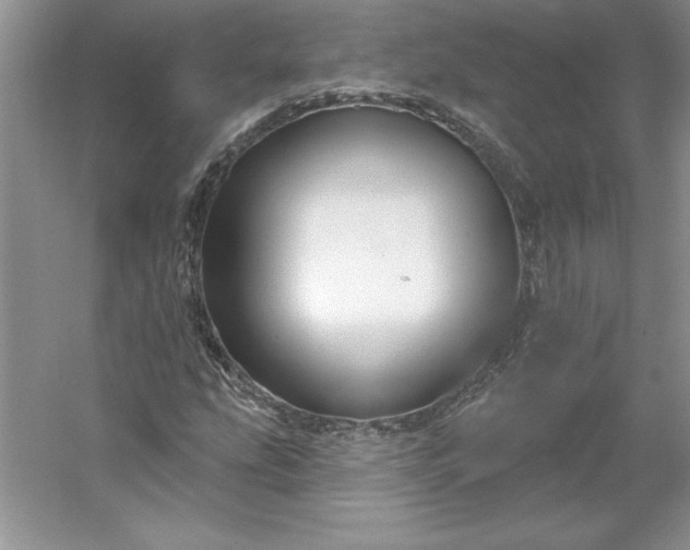 X0000053121207200507251714