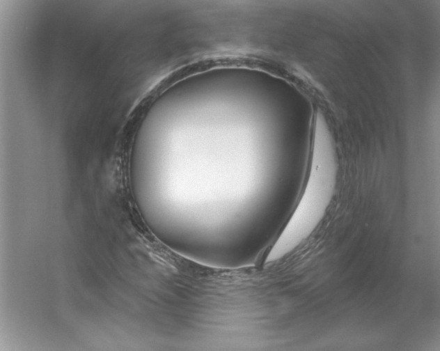 X0000053121208200507251714