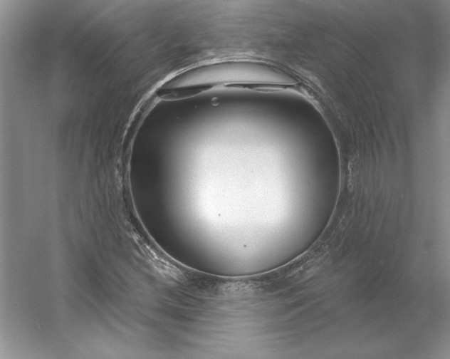 X0000053121212200507251714