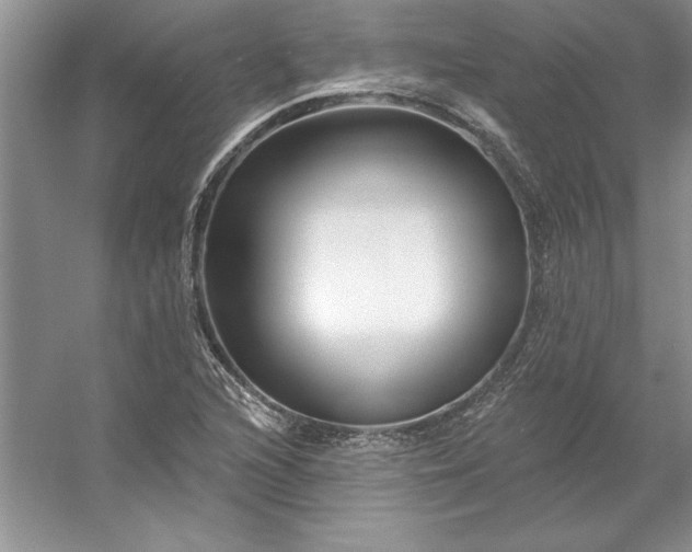 X0000053121216200507251714