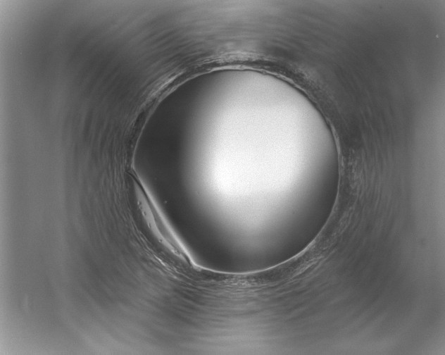 X0000053121217200507251714
