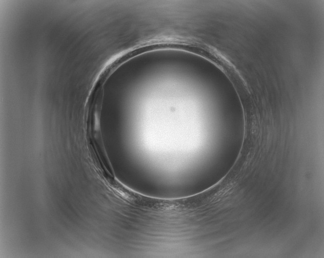 X0000053121222200507251714