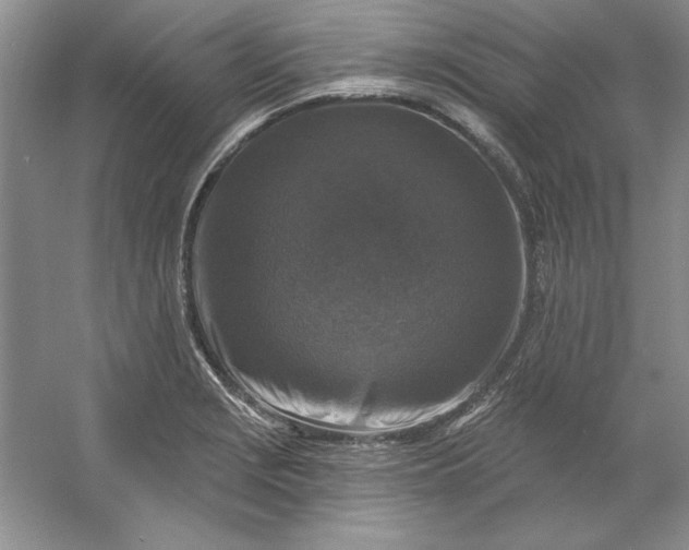 X0000053121229200507251714