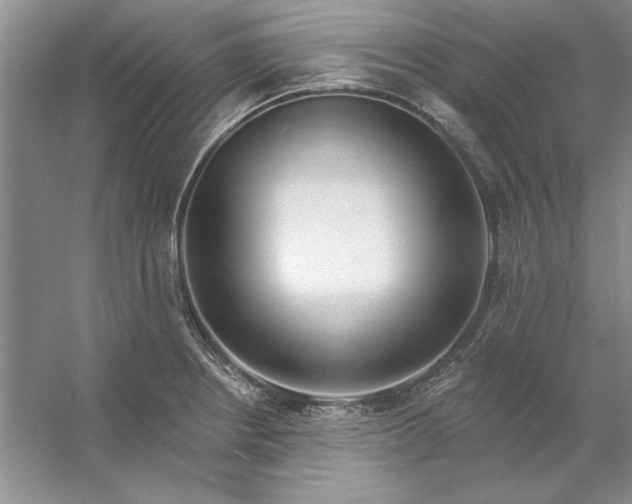 X0000053121234200507251715