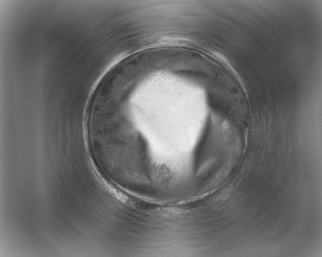X0000053121235200507251715