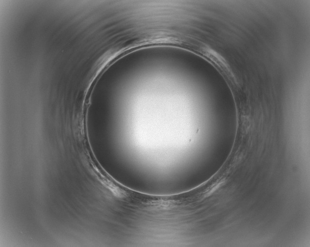 X0000053121236200507251715