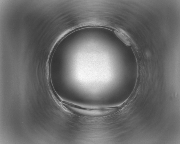 X0000053121238200507251715