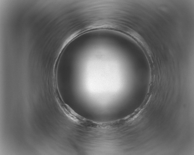 X0000053121242200507251715