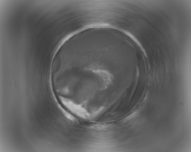 X0000053121245200507251715