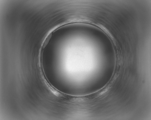 X0000053121246200507251715