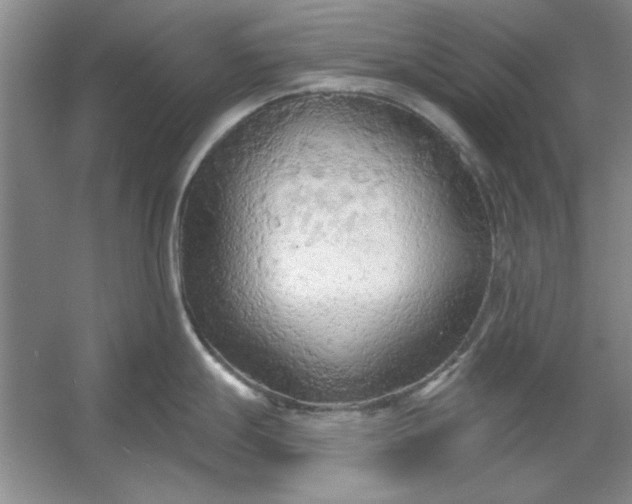 X0000053121247200507251715