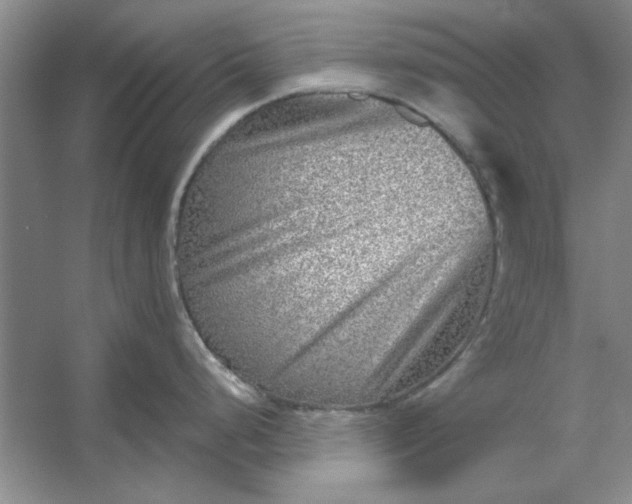 X0000053121248200507251715