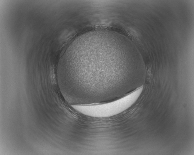 X0000053121252200507251714