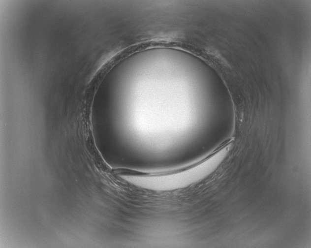 X0000053121256200507251714
