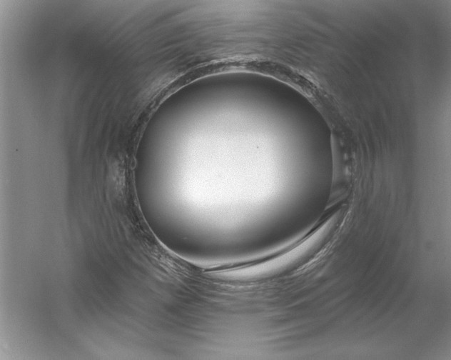 X0000053121257200507251714