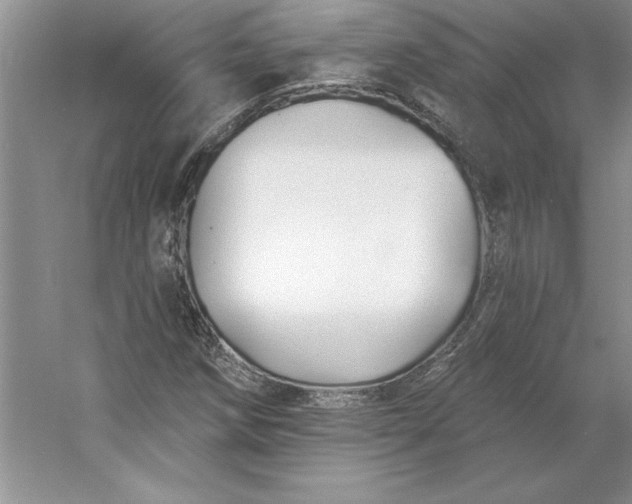 X0000053121258200507251714
